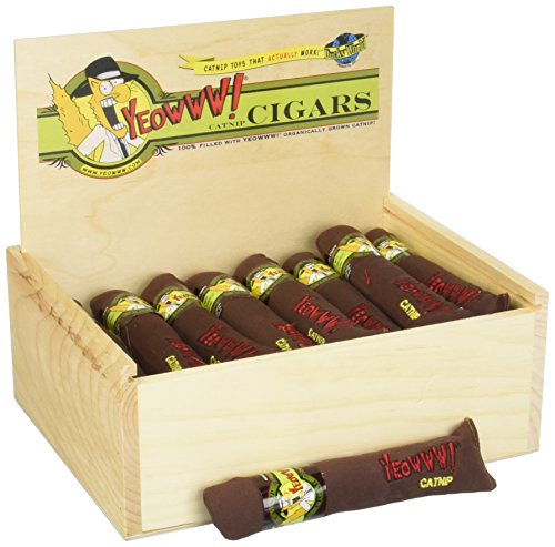 DuckyWorld YEOWWW! Cigar With Slide Top Wooden Box 7inch