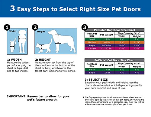 PetSafe Big Cat Cat Flap