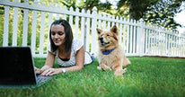 PetSafe Elite Little Dog Spray Bark Control