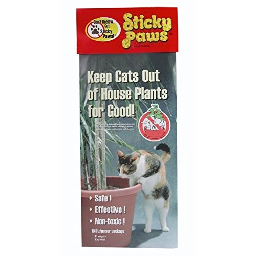 Pioneer Pet 29110 Smartcat Sticky Paws for Plantes