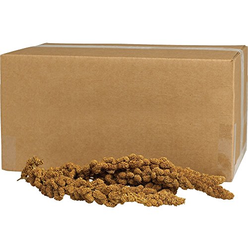 Kaytee 100032109 Gold Spray Millet 500ct