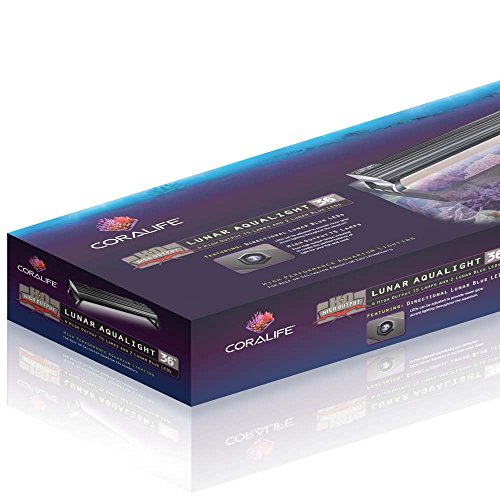 Coralife lunar aqualight haute puissance T5 T5
