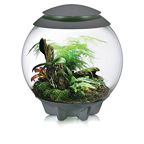 Reef One biOrb RR1802 Air Terrarium For Reptile 16-Gallon/60 Litre (Grey)