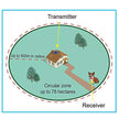Wireless Dog Fence System with Rechargeable Transmitter and Rechargeable Collar Receiver - Safe & Easy Install WiFi Radio Electric Dog Fence