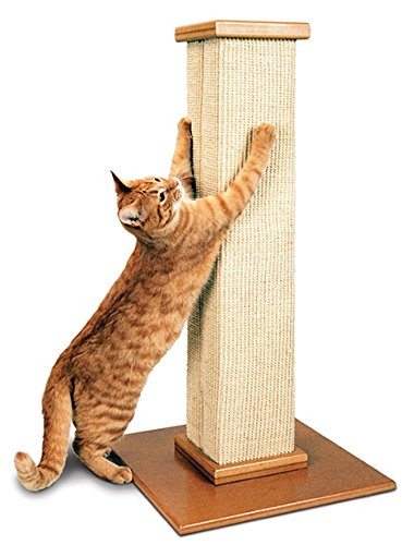 Pioneer Pet 3832 SmartCat The Ultimate Scratching Post
