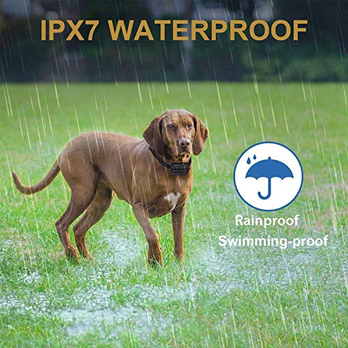 Spray Bark Collar, 2020 Upgraded Citronella Dog Training Collar (Citronella Spray Not Included), Human No Electric Shock Safe Harmless, Rechargeable Adjustable Waterproof