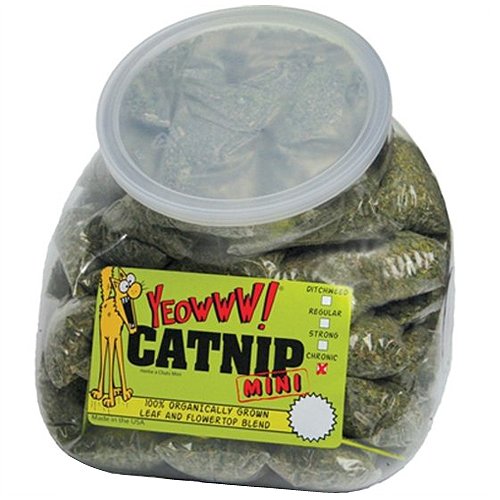 Ducky World Yeowww! Mini Catnip Bags in a Jug 50pc