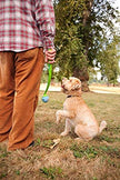 Chuckit! Fetch Medley Balls 3-Pack