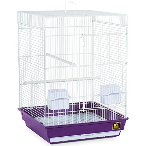 Prevue Pet Keet & Tiel Cage 16