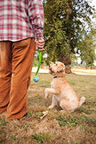 Chuckit! Fetch Medley Balls 3-Pack
