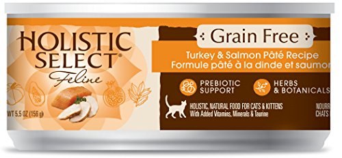 Sélection holistique Sélectricité Grain sans dinde / saumon Pate Cat Alimentation