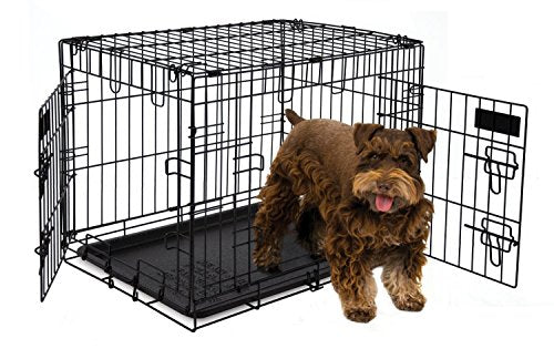 Petmate Training Retreat 2-Door Wire Kennel In Black For Dogs (24 Inch)
