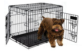 Petmate Training Retreat 2-Door Wire Kennel In Black For Dogs
