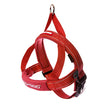 EZYDOG HAUT-FIT DOG DOGNE, Large, rouge