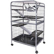 WARE Living Room Series Ferret Home