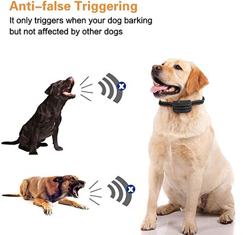 Spray Bark Collar, 2020 Upgraded Citronella Dog Training Collar (Citronella Spray Not Included), Human No Electric Shock Safe Harmless, Rechargeable Adjustable Waterproof