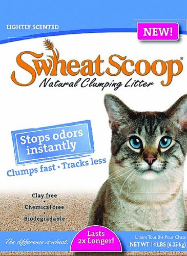 Swheat Scoop Linette de chat légèrement parfumée (4x14lb)