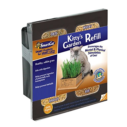 Pioneer Pet 3845 Kit de recharge de graines de jardin de chat intelligent