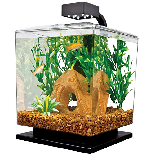 Tetra 29137 Water Wonders Aquarium Kit