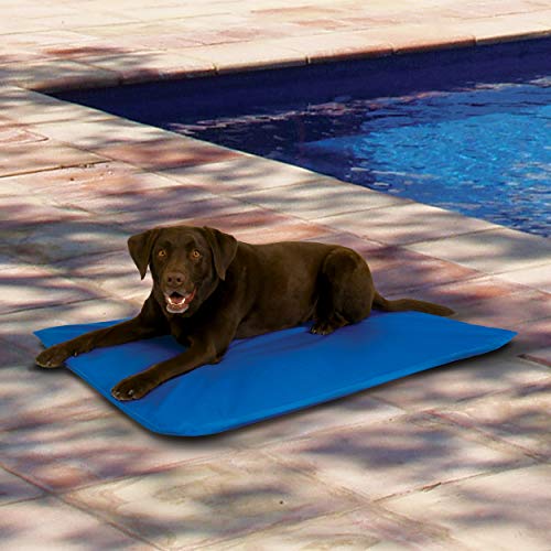 K&H Manufacturing Cool Bed III Cooling Dog Bed
