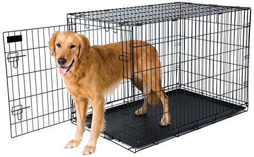 Petmate Training Retreat 2-Door Wire Kennel In Black For Dogs (19 Inch)