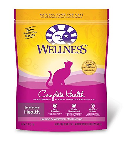 Wellnes 46422 Indoor Health Salmon & Whitefish Dry Food For Cat (5LB(4))