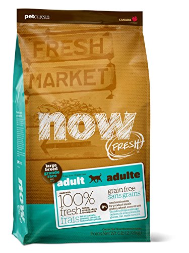 Petcurean 230-1512 Now Fresh Grain Free Large Breed Adult Dog Food (12LB (3))