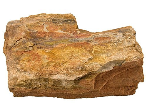 Estes 71710 Stone décorative en bois pétrifié 25lb
