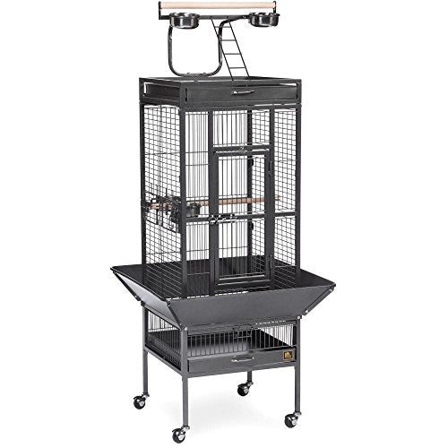 Produits pour animaux de compagnie Prévue 3151BLK Cage de sélection en fer forgé (noir, 18x18x57in)