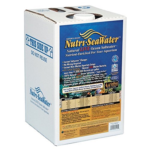 NutriSeawater AM0851 Natural Live Ocean Sea Water 4.4 Gallon