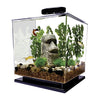 Tetra AA7118 LED Cube Aquarium Kit 3-Gallon