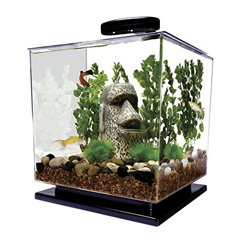 Tetra AA7118 LED Cube Aquarium Kit 3-Gallon