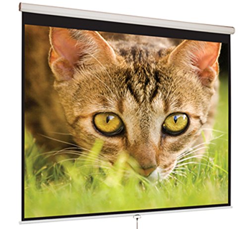 Mustang SC-M100D43 100 inch 4:3 Projection Screen (Manual)