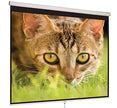 Mustang SC-M100D43 100 inch 4:3 Projection Screen (Manual)