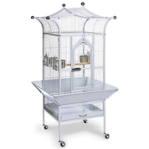 Cage d'oiseaux de redevance pour les produits pour animaux de compagnie