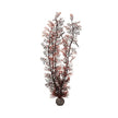 Reef One Biorb X-Large Sea Fan Extra Tall