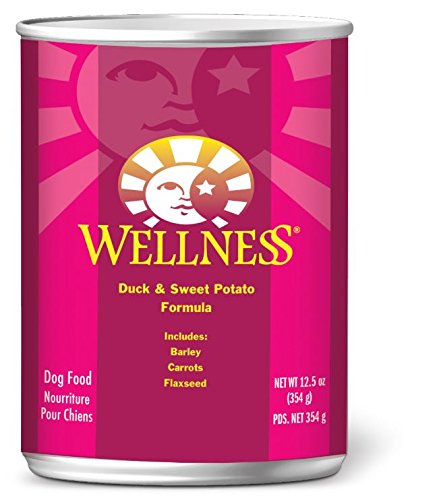 Wellness Complete Health Super-5 Aliments pour chiens en conserve 12/12,5 oz