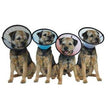 Company of Animals DD8910 Smart Collar For Dog Size 5 22-26 inch