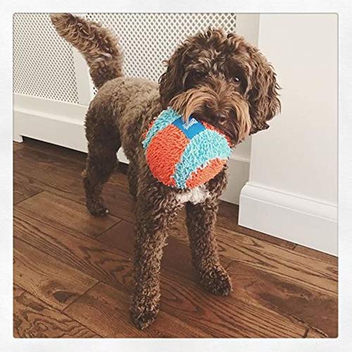Chuckit! Jouet de chien à balle intérieure