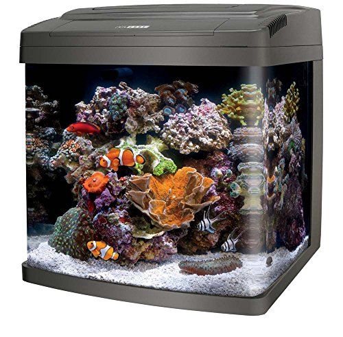 Coralife 15607 BioCube Fishing Tank (29 Gallon)
