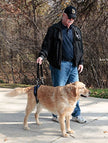 PetSafe Solvit CareLift Rear-Only Lifting Harness, Dog Lifting Harness for Rear Legs