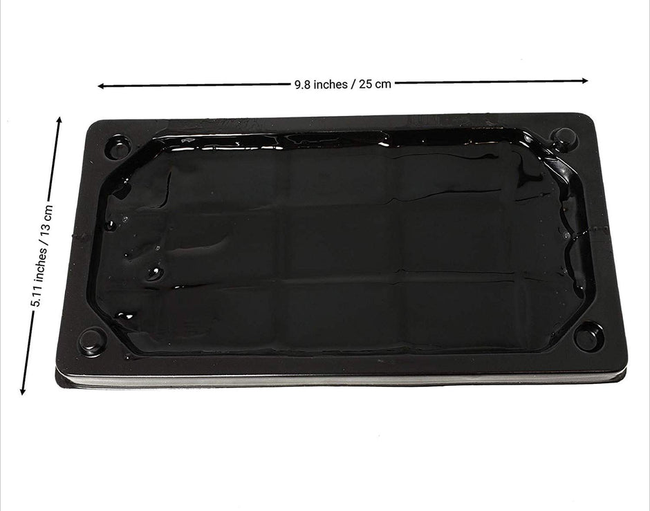 Tomcat GRAND TRAPS DE GLUE jetable pour rats et souris, 2 pack