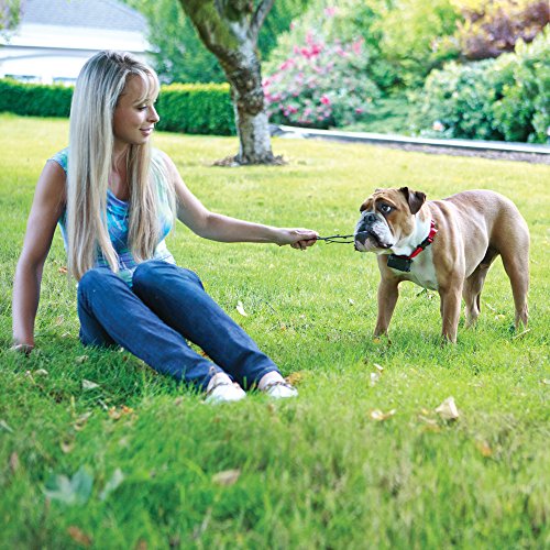 PetSafe In-Ground Fence Receiver Collars for Cats and Dogs, Waterproof, Tone and Static Correction