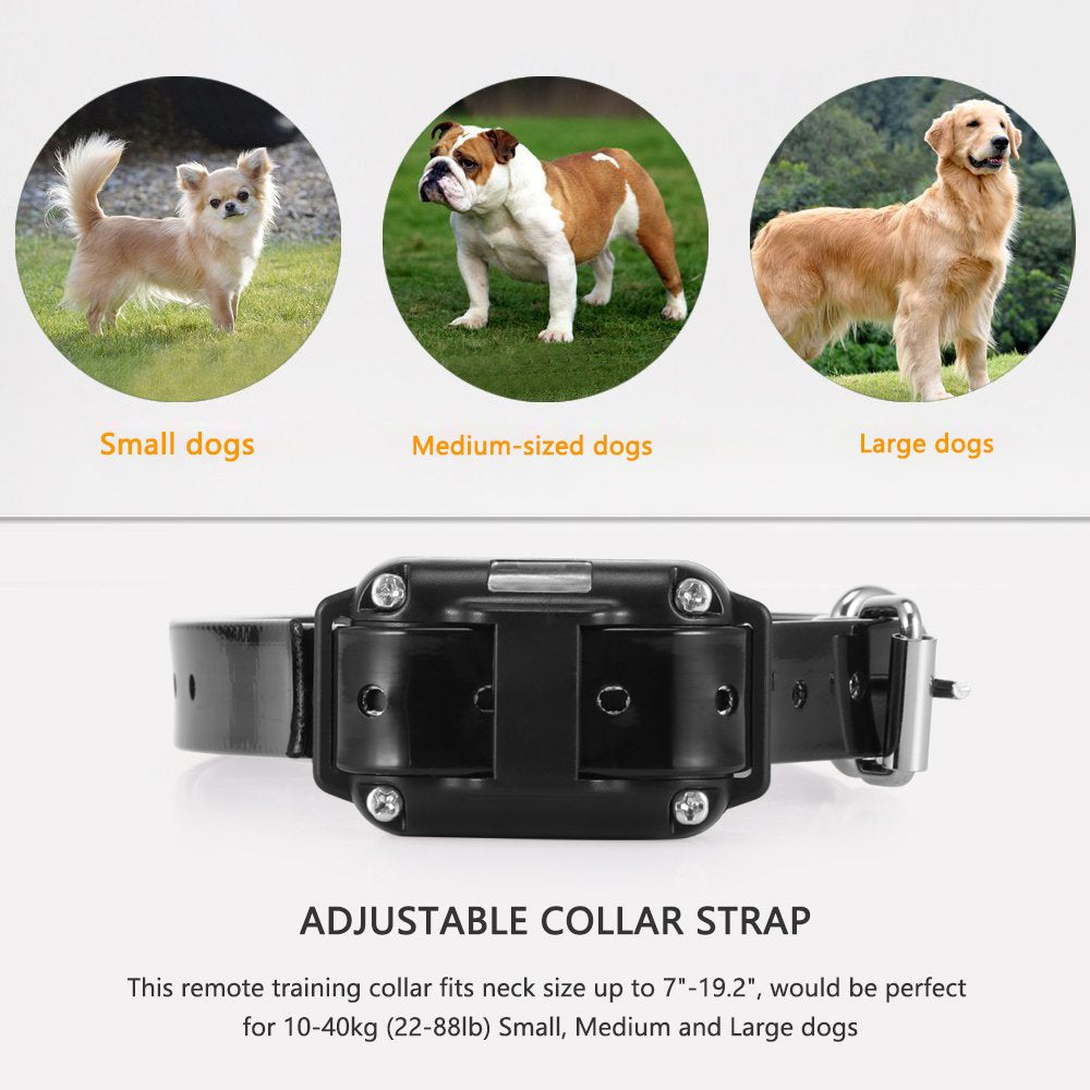 DDSKY 800M REMOTO COMPORTIQUE Collier de formation pour chiens pour animaux de compagnie avec 99 niveaux de sons vibrants et de choc / mode léger imperméable IP68 LCD LCD électrique à distance Collier de choc