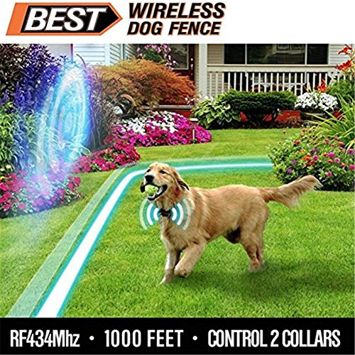 TP16 Fence Amélioration de PET Underground Electrower Electric Outdoor Clarification Système de confinement rechargeable Collier de formation de chien réglable pour les chocs de chien (pour 1 chien)