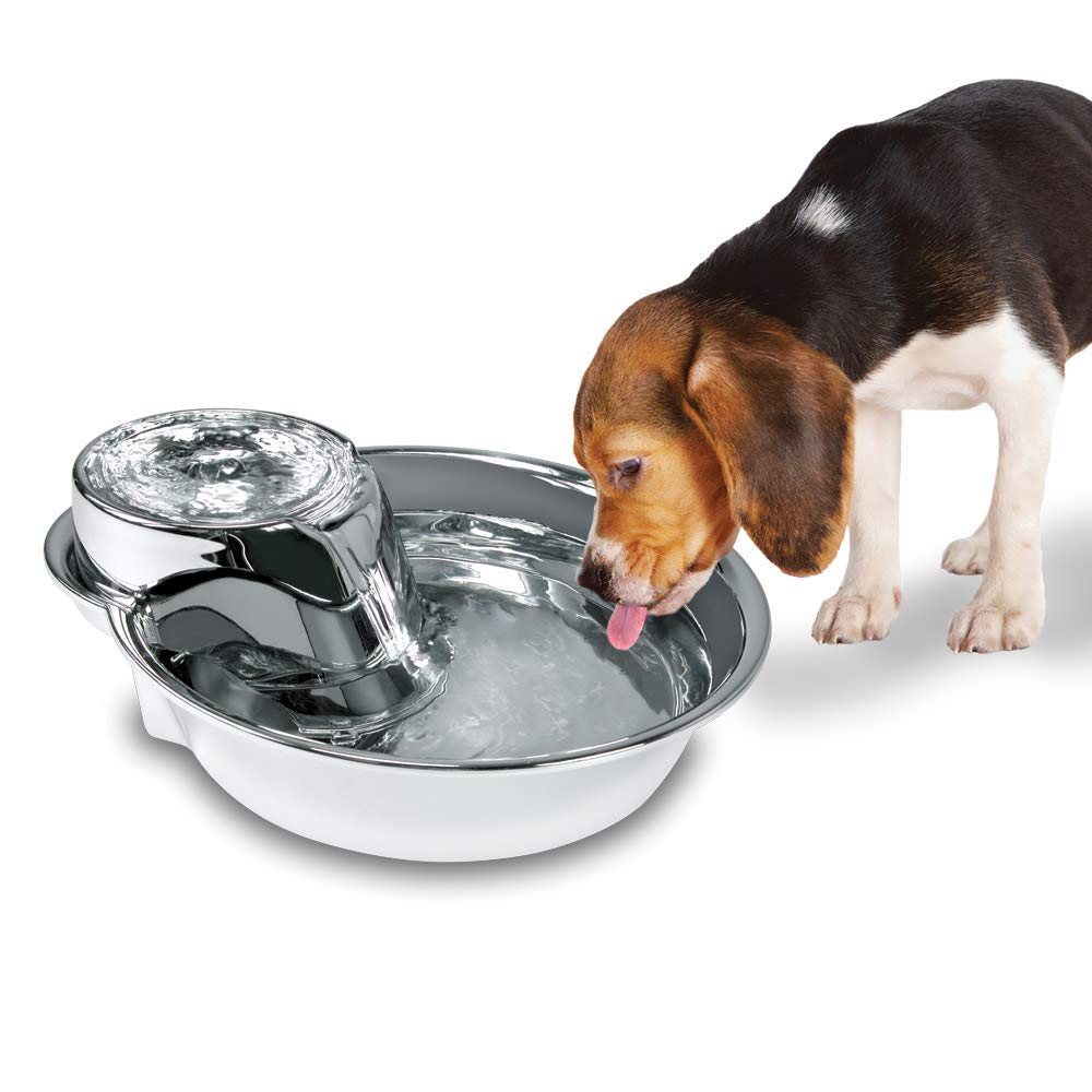 Pioneer Pet Raindrop Style Fountain en acier inoxydable