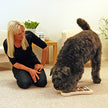 Nina Ottosson's Interactive Dog Toy