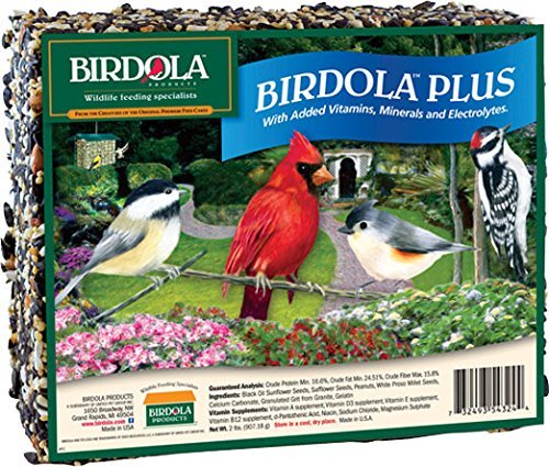 BIRDOLA LG CAKE/FDER SHPR