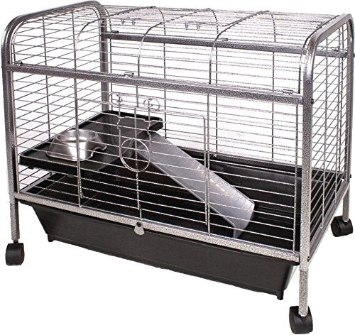 Ware Living Room Guinea Pig Home