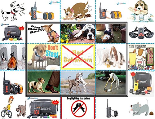 Aetertek AT-218-2 600 Yard 2 Dog Training auto Anti Bark & Waterproof Collar